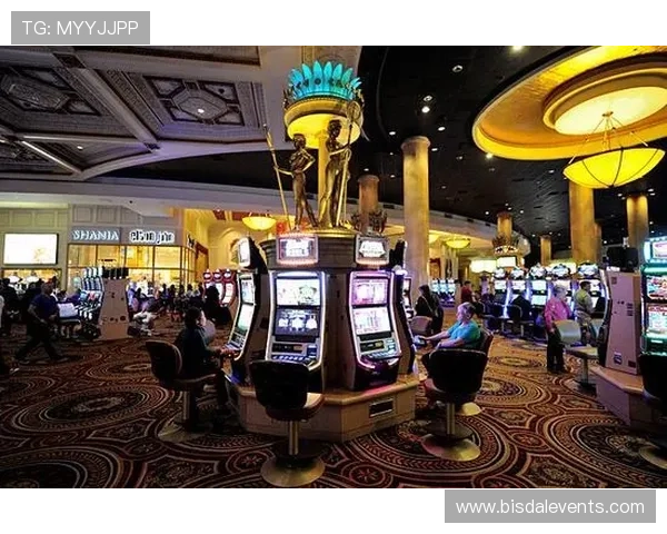 u乐pt老虎机在线娱乐多样化游戏选择，满足不同玩家的娱乐需求与挑战欲望