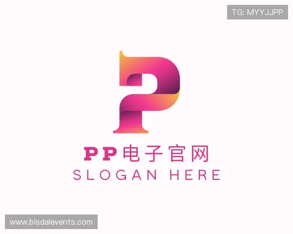 介绍pp电子官网